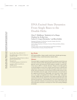 DNA Excited-State Dynamics: From Single Bases to the Double Helix