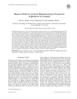 habitat effects on leaf morphological plasticity in quercus acutissima