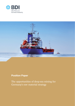 Position Paper The opportunities of deep-sea mining for
