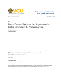 Direct Chemical Evidence for a Supramolecular Protein Structure in