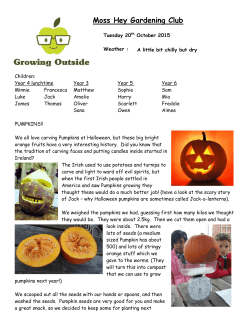 Nevill Road Infant School Gardening Club