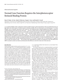 Normal Cone Function Requires the Interphotoreceptor Retinoid