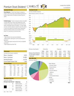Premium Stock Dividend