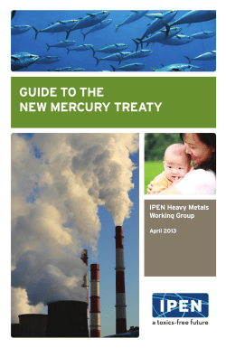 Guide to the New Mercury treaty
