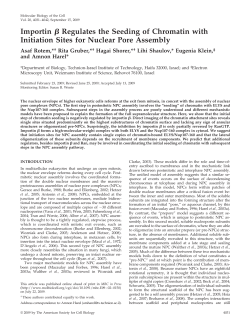 Importin Я Regulates the Seeding of Chromatin with Initiation Sites
