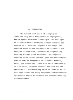 I. INTRODUCTION The ramified shoot system of an