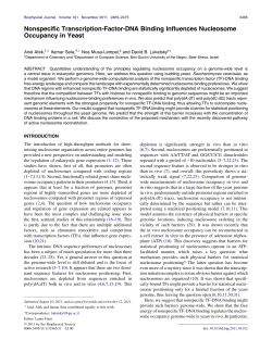 Nonspecific Transcription-Factor