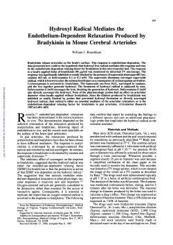 Hydroxyl Radical Mediates the Endothel ium