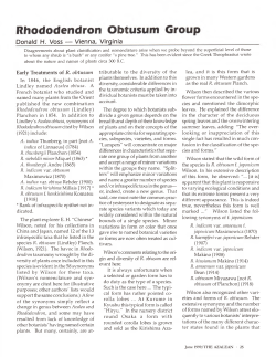 Rhododendron Obtusum Group - Azalea Society of America