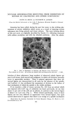 NUCLEAR ABNORMALITIES RESULTING