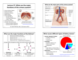 Lecture 37: What are the major func3ons of the urinary system?