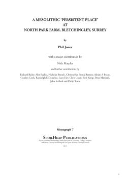a mesolithic `persistent place`