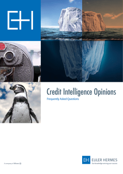 Credit Intelligence Opinions