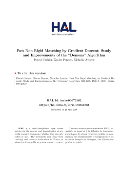 Fast Non Rigid Matching by Gradient Descent: Study and