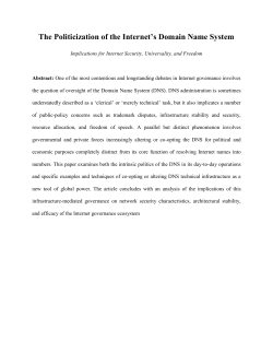 The Politicization of the Internet`s Domain Name System