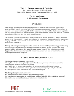 Brain and memory lesson plan