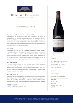 hannibal 2014 - South World Wines