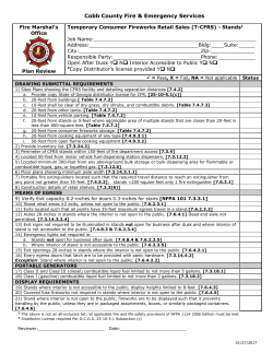 Temporary Consumer Fireworks Retail Sales (T