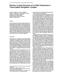 Electron Crystal Structure of an RNA Polymerase II Transcription