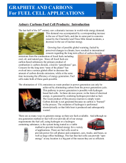 GRAPHITE AND CARBONS For FUEL CELL