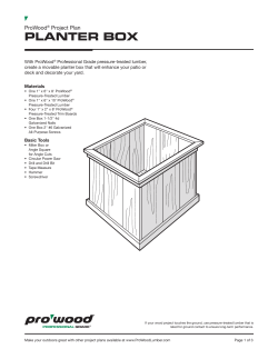 ProWood Planter Box Project Plan