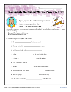 Commonly Confused Words: Pray vs. Prey