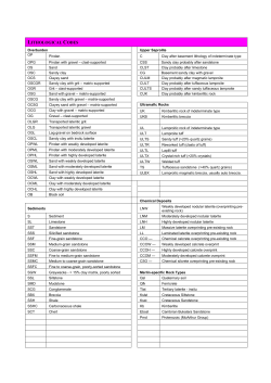 LITHOLOGICAL CODES