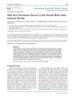 Glial Scar Formation Occurs in the Human Brain after Ischemic Stroke