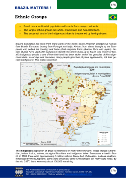Ethnic Groups - Brazil Matters
