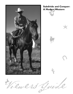 Subdivide and Conquer: A Modern Western