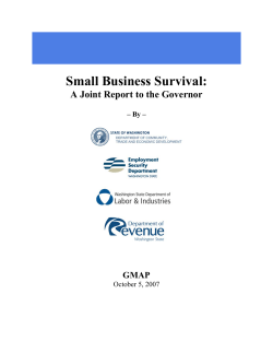Small Business Survival