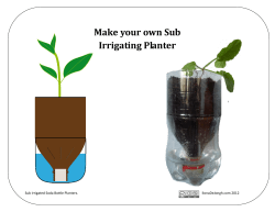 Sub Irrigated Soda Bottle Planters