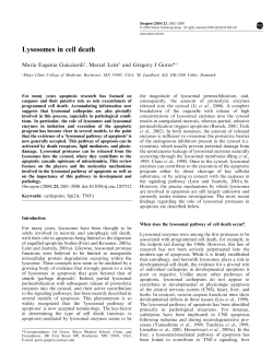 Lysosomes in cell death