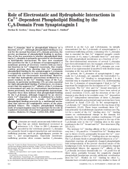Role of Electrostatic and Hydrophobic Interactions in Ca