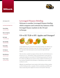 Leveraged Finance Briefing