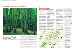 Broadleaf 60 - Woodland Trust