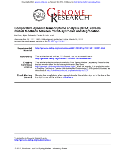 mutual feedback between mRNA synthesis and