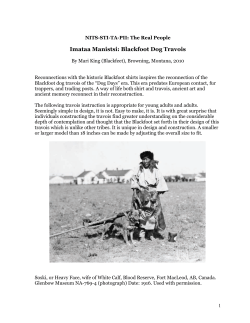 Imataa Manistsi: Blackfoot Dog Travois by Mari King