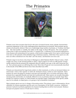 The Primates - the Deep Time Journey Network