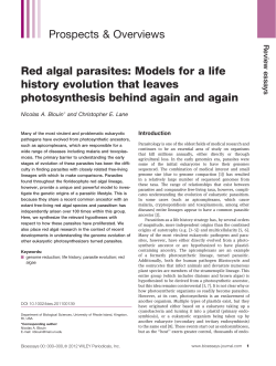 Red algal parasites - University of Rhode Island