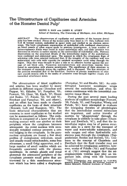The Ultrastructure of Capillaries and Arterioles of the
