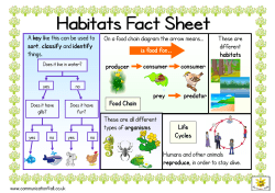 food chain - Communication 4 All