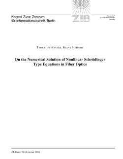 On the Numerical Solution of Nonlinear Schr&uml;odinger Type