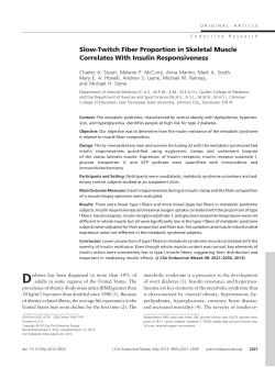 Slow-Twitch Fiber Proportion in Skeletal Muscle Correlates With