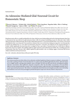 An Adenosine-Mediated Glial-Neuronal Circuit for Homeostatic Sleep