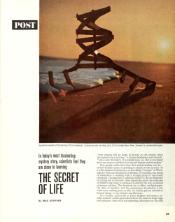 The Secret of Life - The Saturday Evening Post