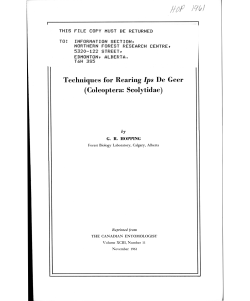 Techniques for Rearing Ips De Geer (Coleoptera: Scolytidae)