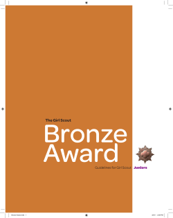 Bronze Award - Girl Scouts