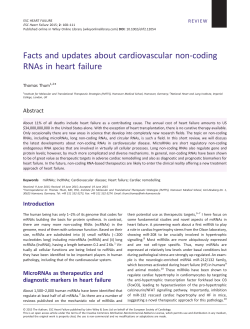 Facts and updates about cardiovascular non