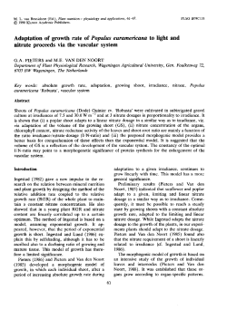 Adaptation of growth rate of Populus euramericana to light and